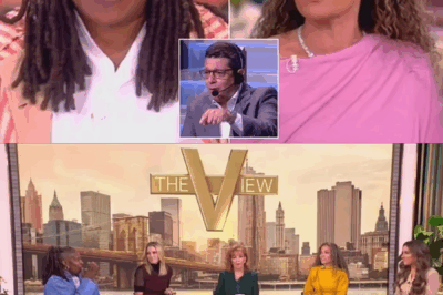 The View’s Whoopi Goldberg gets into ANOTHER furious on-air spat with her co-hosts as she DEFENDS parents who yell at their children – prompting show producer to cut in and shut her down
