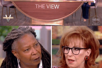 The View in Turmoil: Joy Behar Breaks Silence on Whoopi Goldberg’s Sudden Absence — What’s Really Happening Behind Closed Doors?