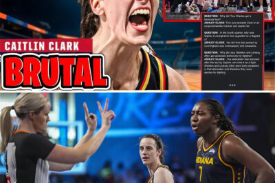 WNBA Referees Just Revealed Shocking Truth About Caitlin Clark’s Controversial Technical Foul (an)