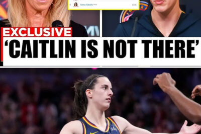 WNBA Fans BOYCOTT League After HIDING Caitlin Clark’s Stats From Official Records! (an)