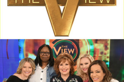 Crisis Hits ‘The View’: Explosive Segment Triggers Ratings Freefall, Advertiser Panic, and Internal Turmoil — Is the Show Facing Collapse?