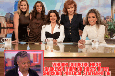 Whoopi Goldberg Faces Backlash from Co-Hosts After Shocking Political Statement on The View