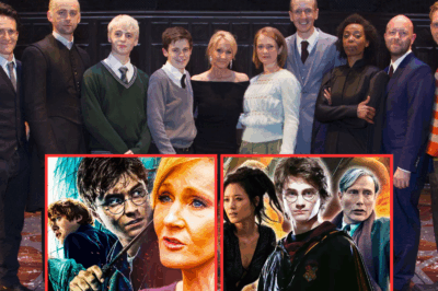 Is the Magic Returning? Rumors Swirl About a New Harry Potter Chapter in the Works