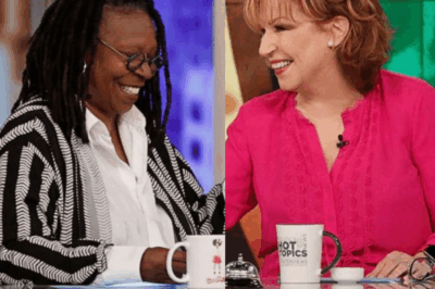 Whoopi Goldberg & Joy Behar Look Back on Decades of The View, Barbara Walters, and Broadcasting Through a Pandemic