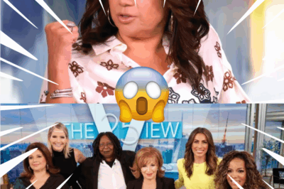 Ana Navarro Accuses ‘The View’ of Setting Her Up to Spark Political Drama