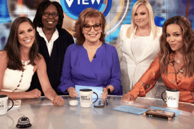 Surprised by The View’s Secret Lover: A Female Host Met Her Husband Through Dating Apps!