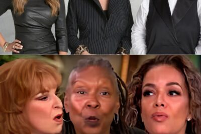 EXCLUSIVE: Whoopi, Joy & Sunny in the Hot Seat as ABC Reportedly Plans Major View Overhaul 😱