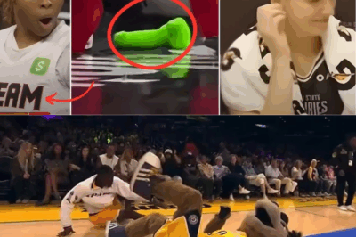 Shocking Moment Unfolds as WNBA Game Is Interrupted by Rogue Fan Who Hurls Dangerous Object onto Court, Nearly Knocking Out Beloved Team Mascot (tt)
