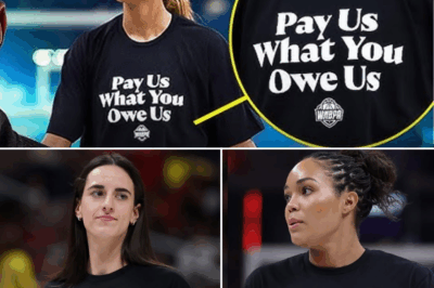 “The WNBA Is Bleeding Money—So Why Are Players Demanding Higher Pay? Unpacking the Truth Behind the League’s Financial Struggles and the Fight for Fair Compensation” ( TT )