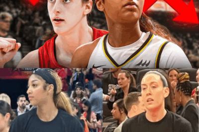 The Harsh Truth About the WNBA: Why America’s Fastest-Growing Women’s Sport Is Still Fighting for Survival, Respect, and Real Recognition ( TT )