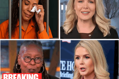 “The View” Hosts Go Public, Urge Karoline Leavitt to Drop $800 Million Lawsuit