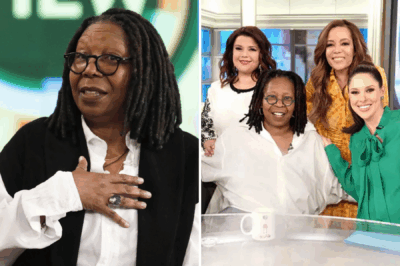 Whoopi Goldberg Breaks Her Silence: What She Lost After ‘The View’ Storm