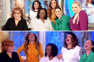 Inside “The View”: The Unseen Bonds That Turned Co-Hosts Into Family