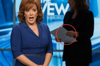 Joy Behar Abruptly Removed from ‘The View’ Amid Explosive Lawsuit Involving Karoline Leavitt