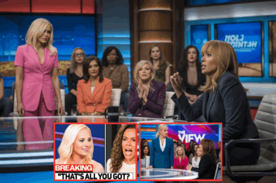 Tomi Lahren FIRES BACK After Sunny Hostin MOCKS Her Ancestry Live on Air—Studio Falls Silent