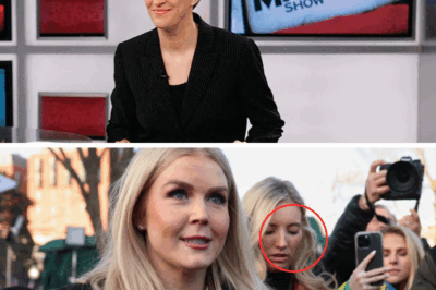 TV Meltdown: Rachel Maddow Orders Security to Remove Karoline Leavitt After Explosive Clash