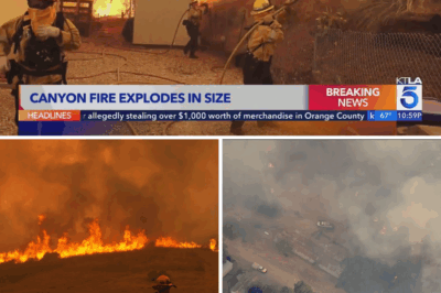 🔥 Massive Canyon Fire erupts near Ventura-L.A. County line — 4,800 acres burned, thousands evacuated, and firefighters battling through the night to save homes! 🚒💨