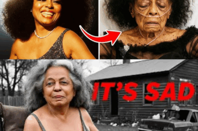 She Still Sings, But No One Waits Backstage Anymore: The Diana Ross Story