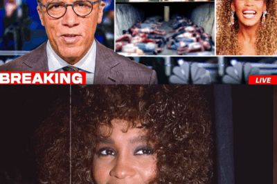 Whitney Houston’s Vault Finally Opened After 15 Years – Shocking Discoveries Inside