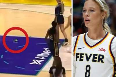 Unexpected Moment at Crypto.com Arena as Unusual Object Is Thrown onto Court During Sparks Victory Over Indiana Fever Causes Surprise and Laughter Among Fans and Players (tt)