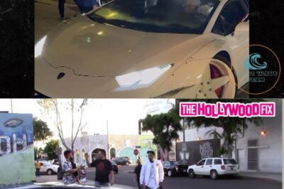 Chris Brown Allegedly Slams Lamborghini Door in Fan’s Face During Shopping Trip
