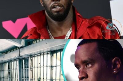 🔥 Diddy’s Downfall: From Hip‑Hop Mogul to Convicted on Prostitution Charges (NH)