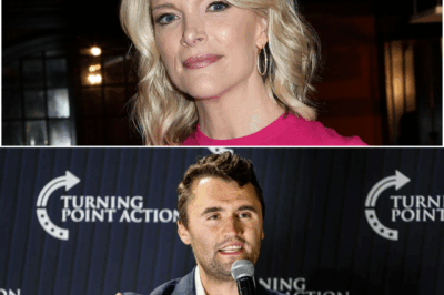 ABC Axes The View After Two Decades, Replaces It With Charlie Kirk, Erika Kirk, and Megyn Kelly