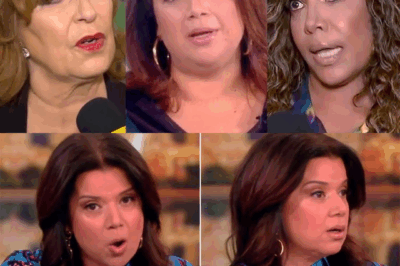 Ana Navarro Accused of Spreading False Stories to Undermine Colleague on The View