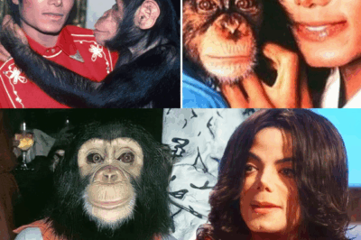 Where Is Bubbles the Chimpanzee Now? Michael Jackson’s Famous Pet’s Life Today
