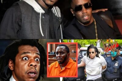 P Diddy Just Flipped on Jay-Z: The $2 Billion Saga That Could End Jay-Z’s Career | Secret Immunity Deal Revealed (NH)