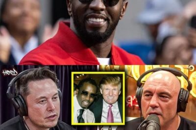 Elon Musk SPEAKS On Donald Trump Bailing Diddy Out (NH)