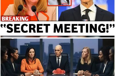WNBA Holds Emergency Meeting After Ratings Collapse as Caitlin Clark’s Impact on League Popularity Becomes Impossible to Ignore (tt)