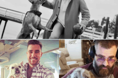 Travis Kelce Buys Struggling Dog Rescue Center — What He Did Next Leaves Fans Speechless
