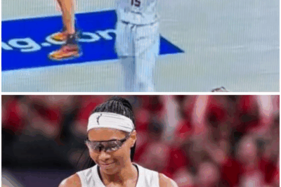 “Softest League in History”: Shocking Witness Report From Indiana vs Atlanta Playoff Game Reveals Harmless Comment That Led to Fever Fans’ Ejection (tt)