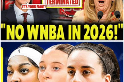 2 MINUTES AGO The WNBA on the Brink of Collapse and the 2026 Season Might Never Happen This Is Huge (tt)