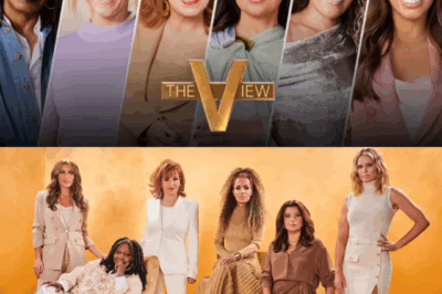 The View Confirms Season 29 Premiere After Rosie O’Donnell Declares It Over—Whoopi Goldberg and Joy Behar Lead Explosive Return