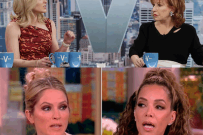 Leaked Video Exposes Explosive Clash Between Joy Behar and Sunny Hostin Behind the Scenes of The View