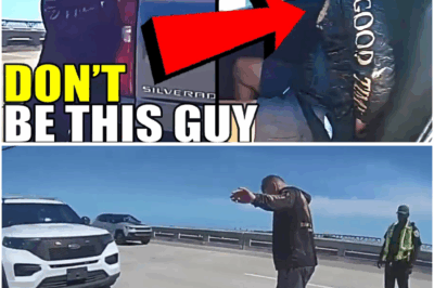 ICE Agent Who Thought He Was Untouchable Faces Public Backlash in Shocking Reality Check That Exposes Abuse of Power