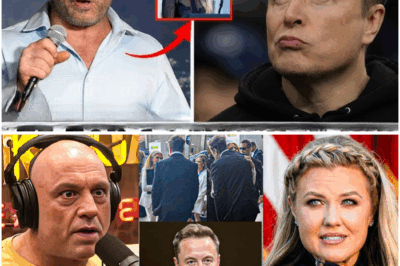 Joe Rogan and Elon Musk Break Silence on Explosive Controversy Surrounding Charlie Kirk’s Widow