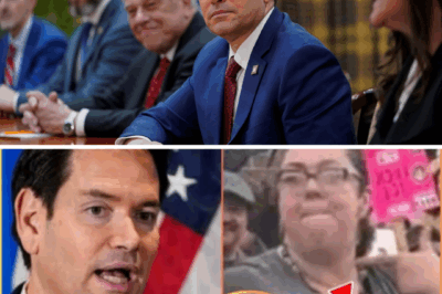 Marco Rubio Silences the Internet with Six Words