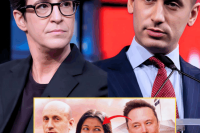 Rachel Maddow’s Live “Deconstruction” of Stephen Miller Shocks Washington: The Night Power Collapsed on Air