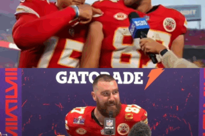 NFL Stuns Fans with Official Punishment for Travis Kelce’s Controversial Actions