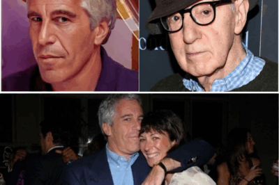 Woody Allen’s Explosive Revelation: The Filmmaker’s Unfiltered Account That Reignites the Jeffrey Epstein Scandal