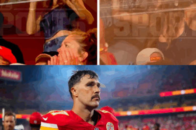 Taylor Swift Attends Chiefs Games Behind Bulletproof Glass Amid Fears of Revenge Attack