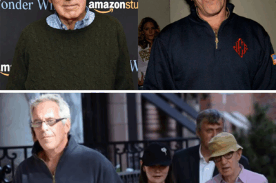 Hollywood Secrets Exposed: Woody Allen Speaks Out on Epstein’s Hidden Network