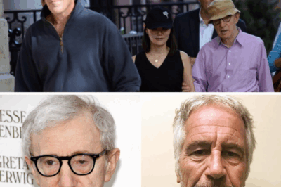 “It Was All Connected”: Woody Allen Breaks His Silence on Epstein’s Secret Network