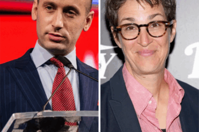 Rachel Maddow’s Live Takedown Leaves Stephen Miller Speechless
