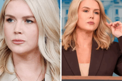 Karoline Leavitt Claps Back at Huffington Post Reporter With Viral Response