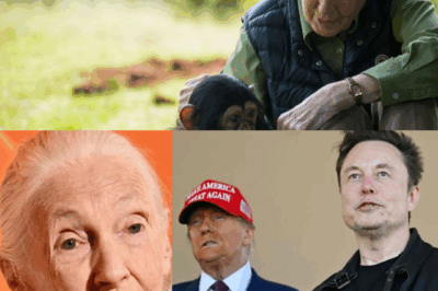 Dr. Jane Goodall’s Bold Wish for Trump and Musk Stuns Fans