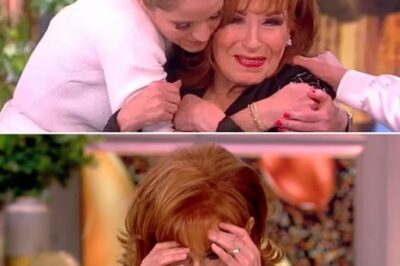 Joy Behar Breaks Down in Tears After Heartbreaking Audience Story on The View